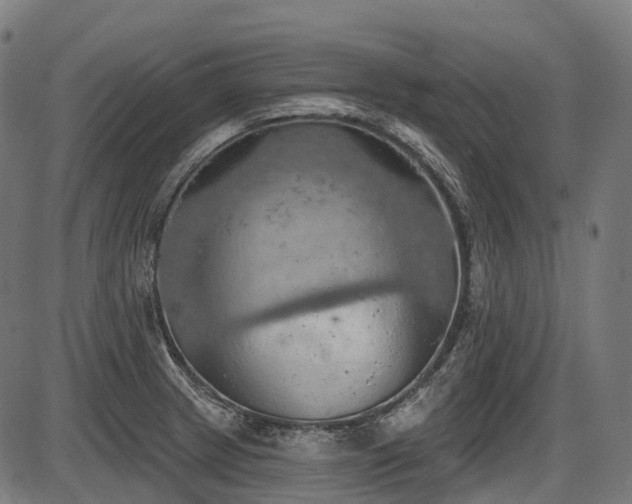 X0000087531233200704271159