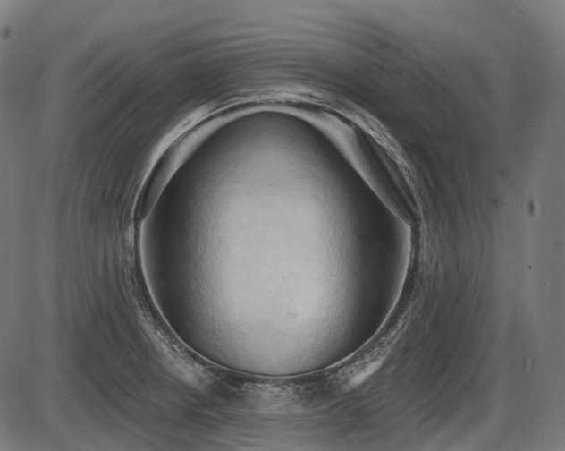 X0000087531234200704271159