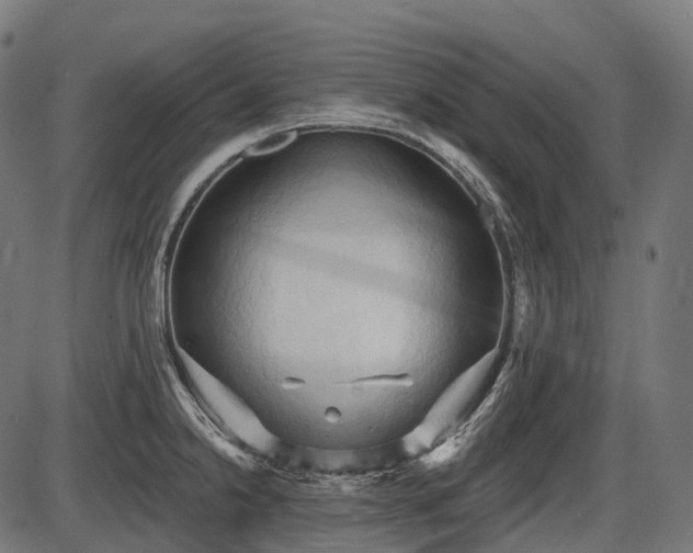 X0000087531238200704271159
