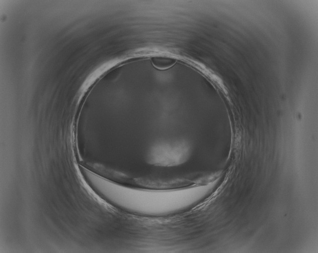 X0000087531239200704271159