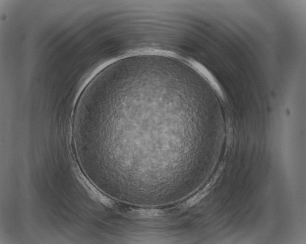 X0000087531244200704271159