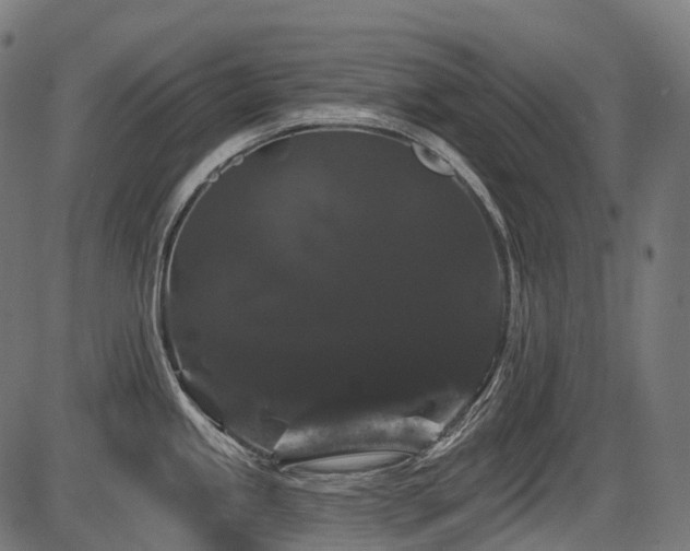 X0000087531245200704271159