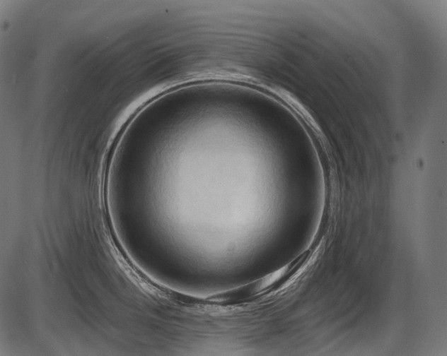 X0000087531246200704271159