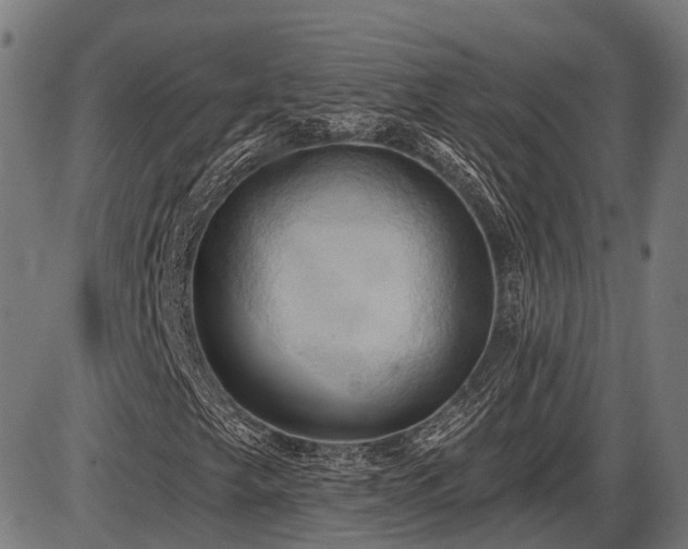 X0000087531249200704271158