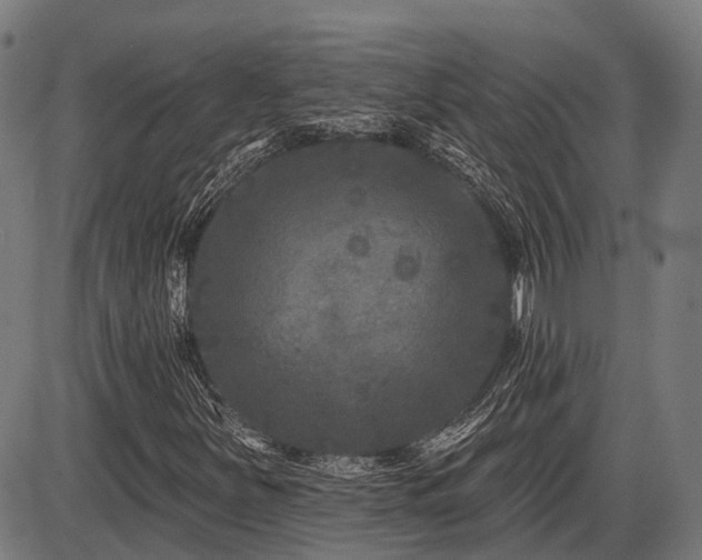 X0000087531251200704271158