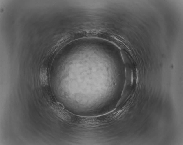X0000087531252200704271158