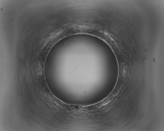 X0000087531253200704271158