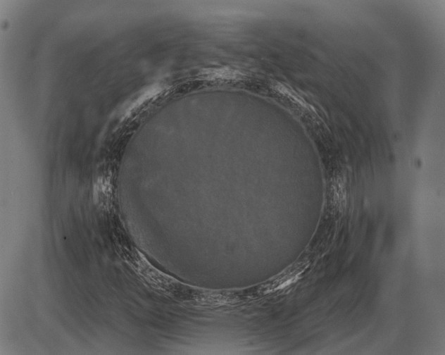 X0000087531254200704271158