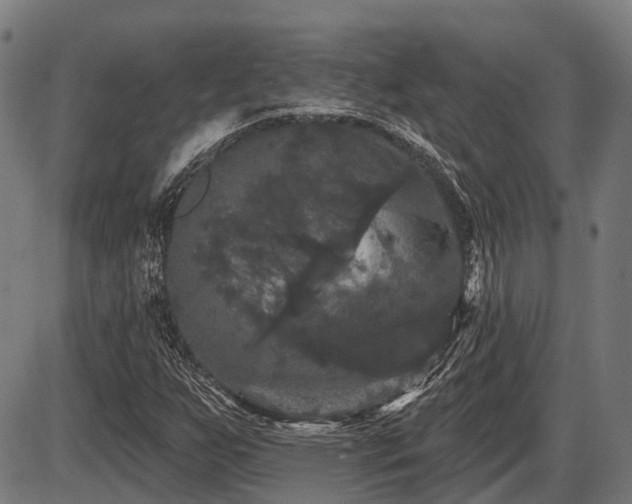 X0000087531255200704271158