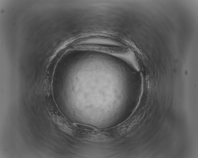 X0000087531256200704271158