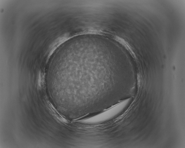 X0000087531260200704271158