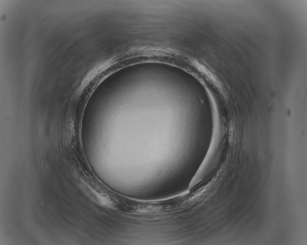 X0000087531261200704271158