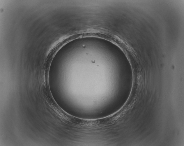 X0000087531262200704271158