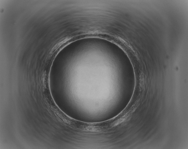 X0000087531265200704271158