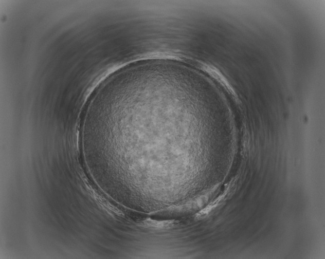X0000087531268200704271158