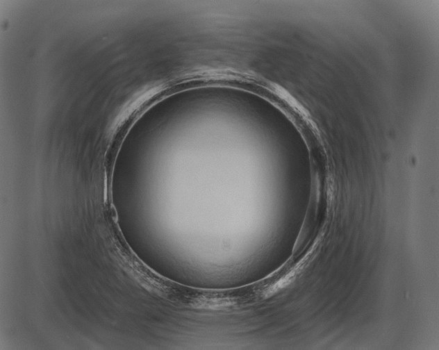 X0000087531269200704271158