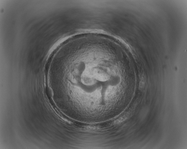 X0000087531271200704271158