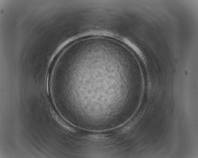 X0000087531272200704271158