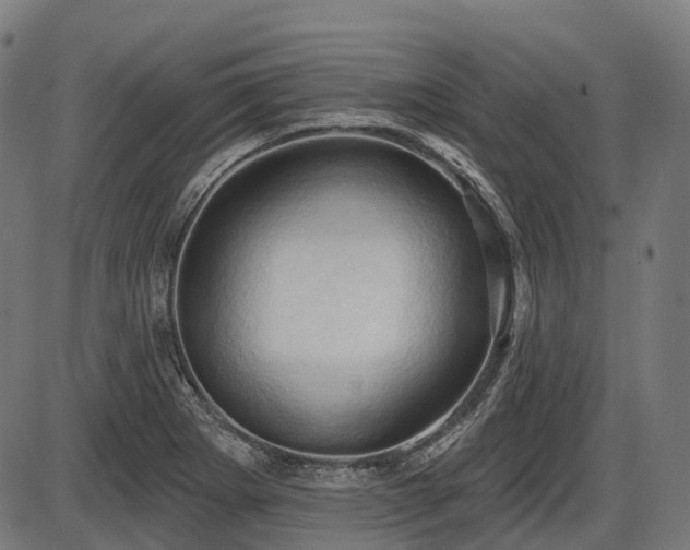 X0000087531273200704271158