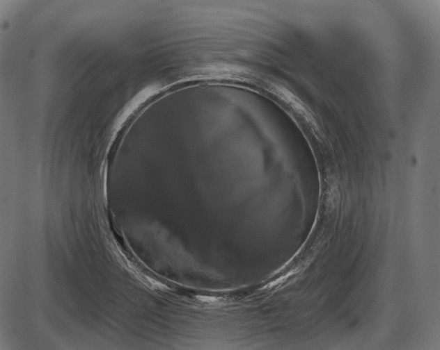 X0000087531275200704271158