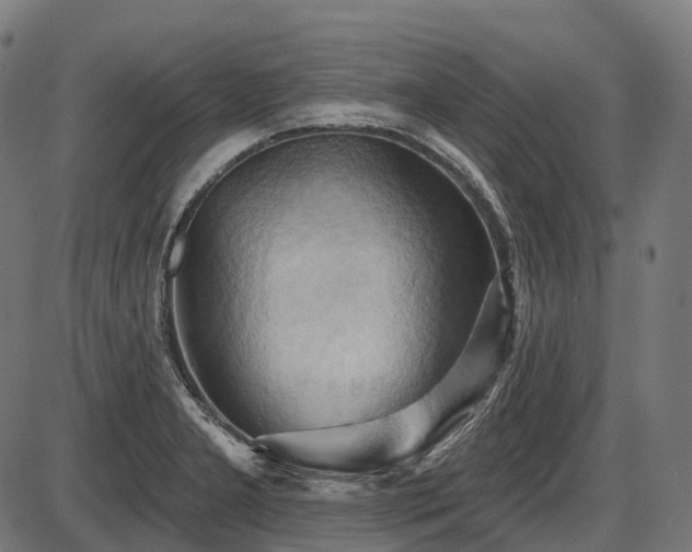 X0000087531277200704271158
