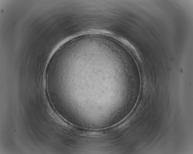 X0000087531280200704271158