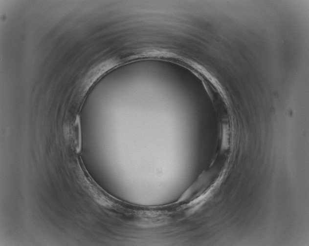 X0000087531281200704271158