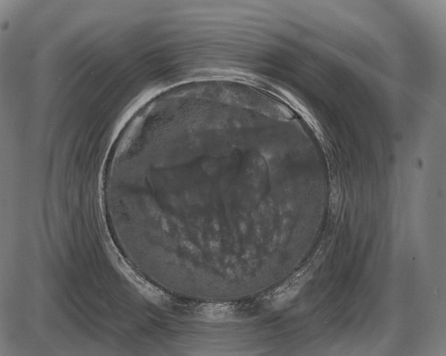 X0000087531283200704271158