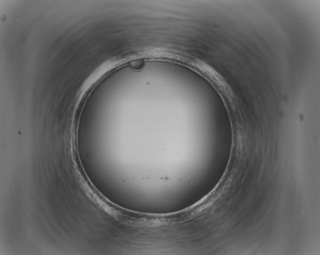 X0000087531286200704271158