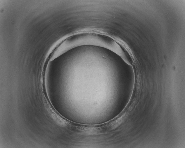 X0000087531288200704271157