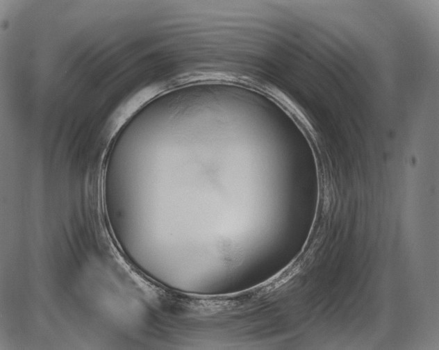 X0000087531290200704271157