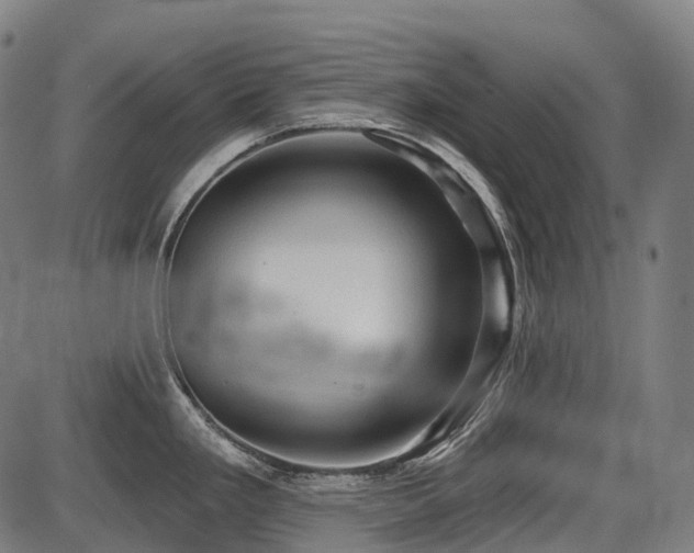 X0000087531293200704271157