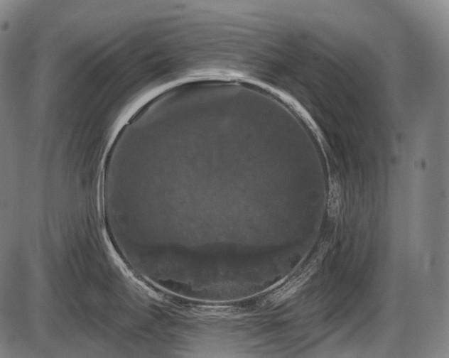 X0000087531295200704271157