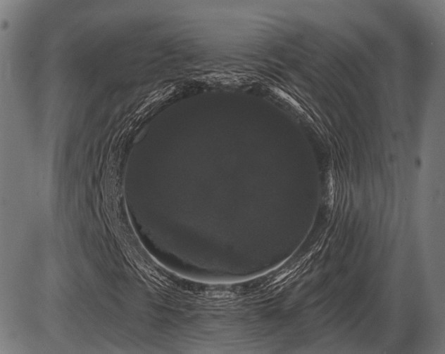 X0000087531297200704271157