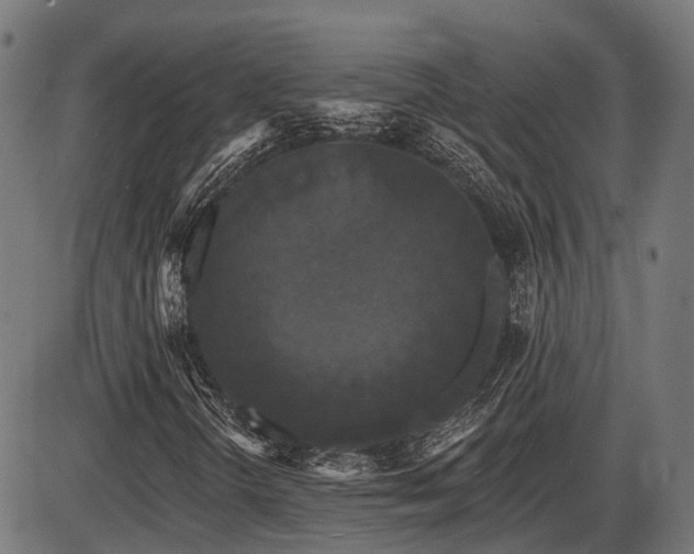 X0000087531298200704271157