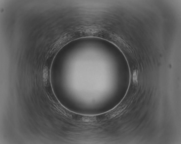 X0000087531299200704271157