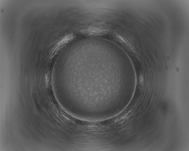 X0000087531300200704271157