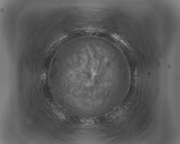 X0000087531302200704271157