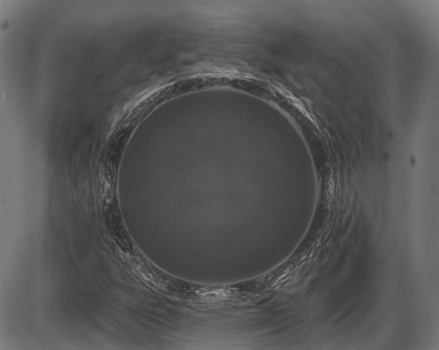 X0000087531303200704271157