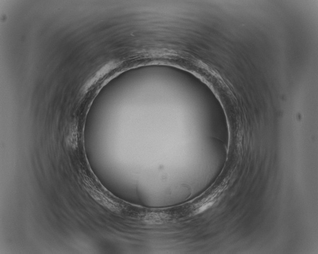 X0000087531306200704271157