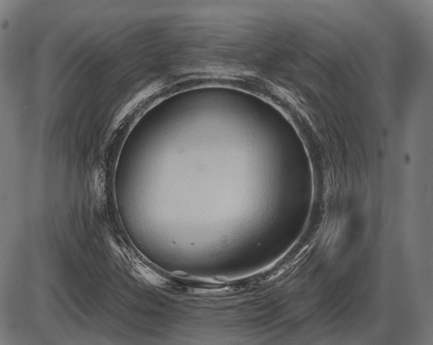 X0000087531307200704271157