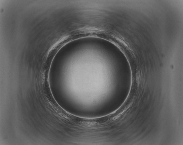 X0000087531309200704271157