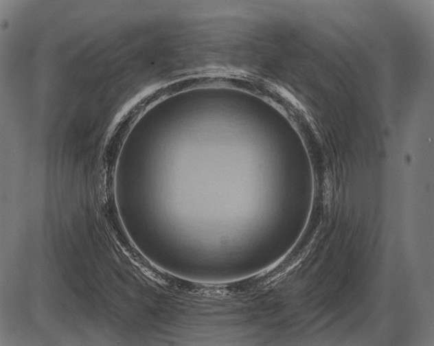 X0000087531310200704271157