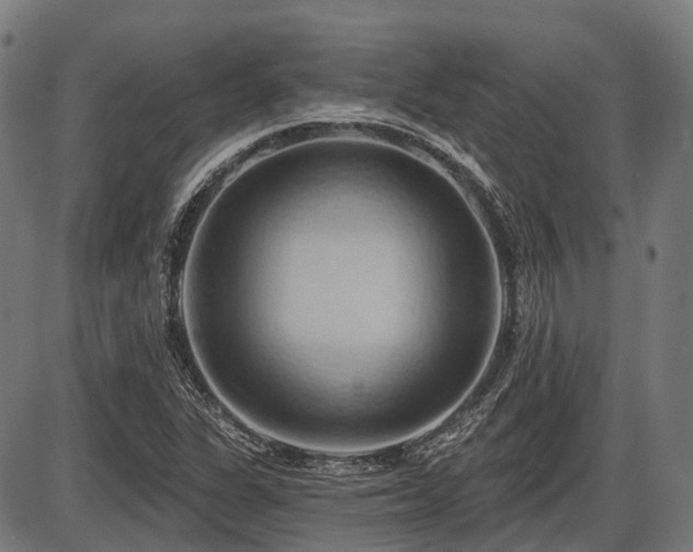 X0000087531311200704271157