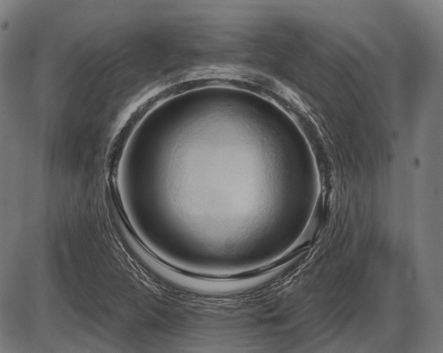 X0000087531312200704271157