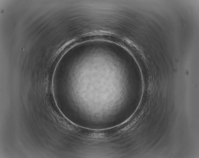 X0000087531313200704271157