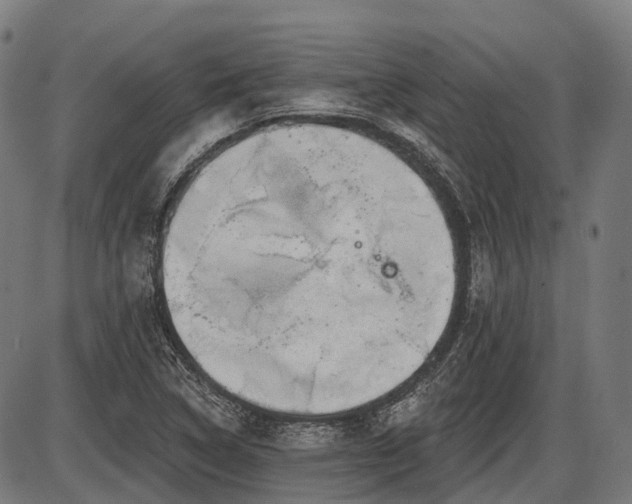X0000087531314200704271157