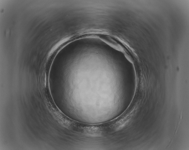 X0000087531317200704271157
