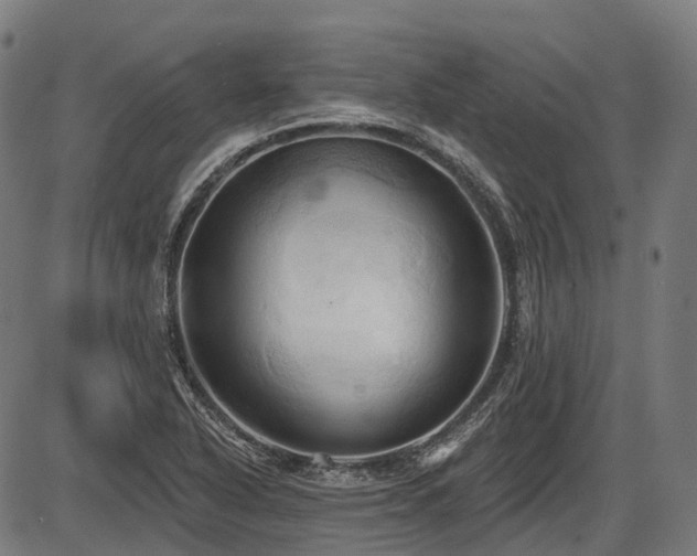 X0000087531318200704271157