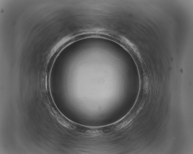 X0000087531320200704271157